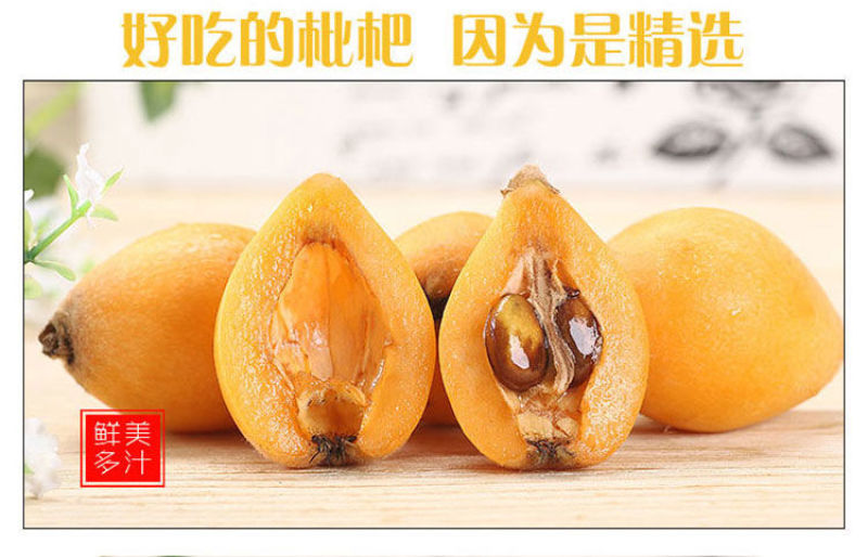 攀枝花米易枇杷全国批发量大优惠