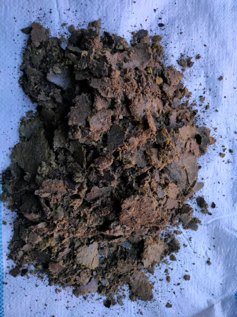 清仓处理棉籽饼厂家清库存菌菇种植基质棉饼改善土壤环境