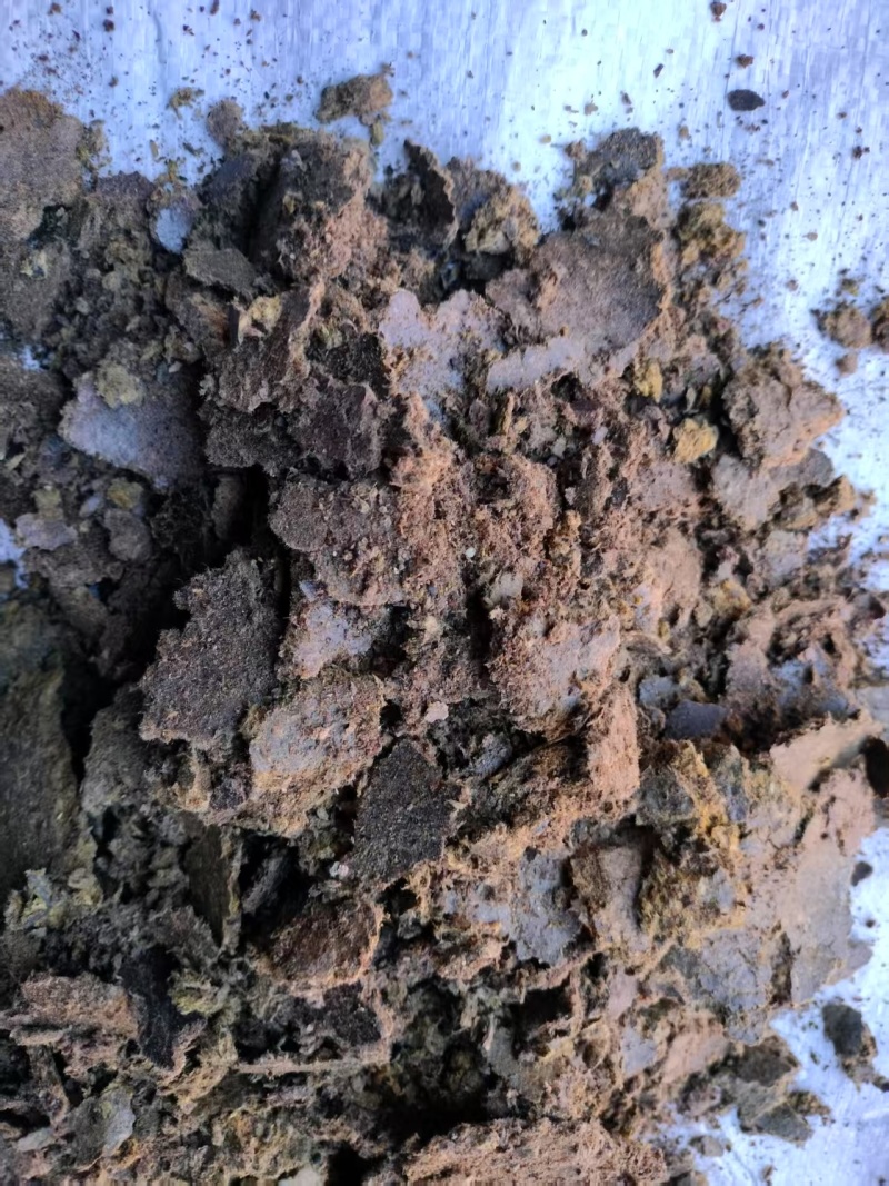 清仓处理棉籽饼厂家清库存菌菇种植基质棉饼改善土壤环境