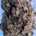 清仓处理棉籽饼厂家清库存菌菇种植基质棉饼改善土壤环境