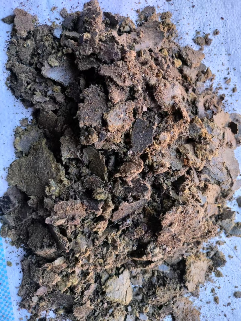 清仓处理棉籽饼厂家清库存菌菇种植基质棉饼改善土壤环境