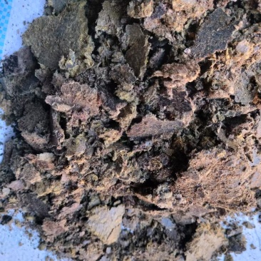 清仓处理棉籽饼厂家清库存菌菇种植基质棉饼改善土壤环境