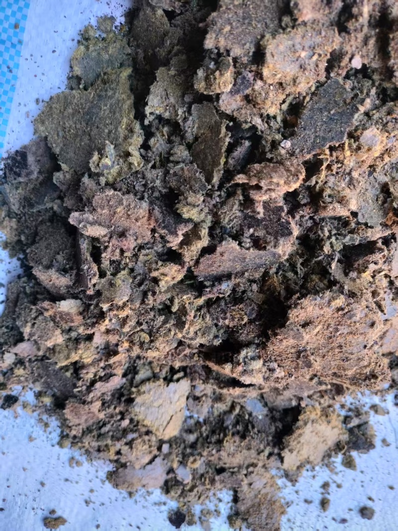 清仓处理棉籽饼厂家清库存菌菇种植基质棉饼改善土壤环境