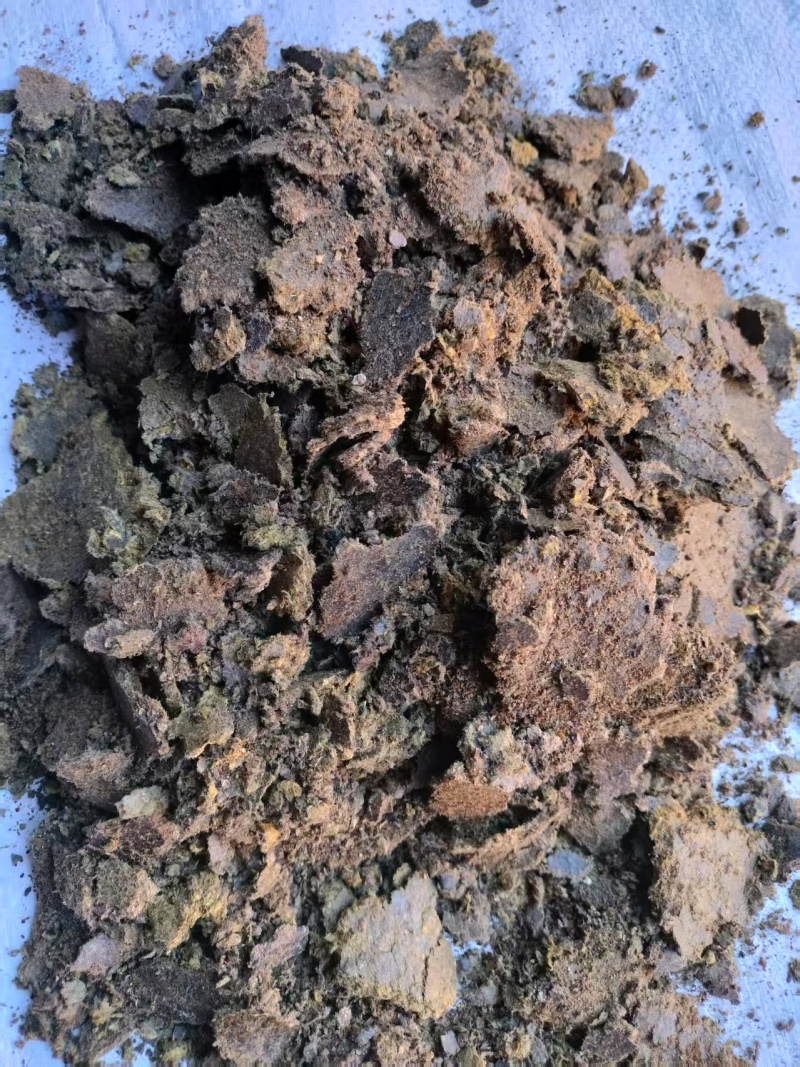 清仓处理棉籽饼厂家清库存菌菇种植基质棉饼改善土壤环境