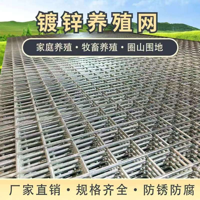 镀锌铁丝网片围栏钢丝网格养殖鸡笼防蛇鼠电焊铁网格网阳台防