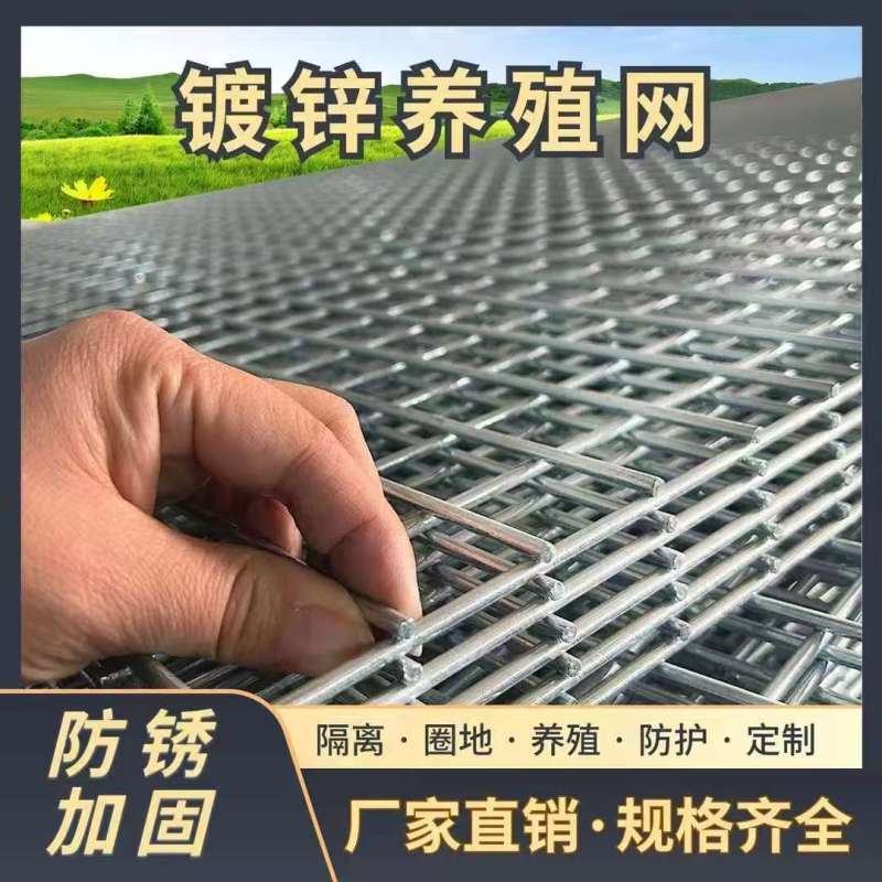 镀锌铁丝网片围栏钢丝网格养殖鸡笼防蛇鼠电焊铁网格网阳台防
