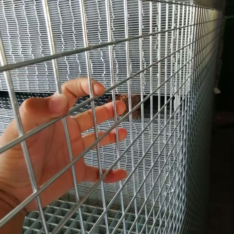 镀锌铁丝网片围栏钢丝网格养殖鸡笼防蛇鼠电焊铁网格网阳台防