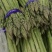 山东安丘大棚芦笋现采现卖电话***********