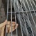 鸽舍扁铁地网钢格栅板鸽棚狗笼踩人地网自建鸽棚地网镀锌漏粪