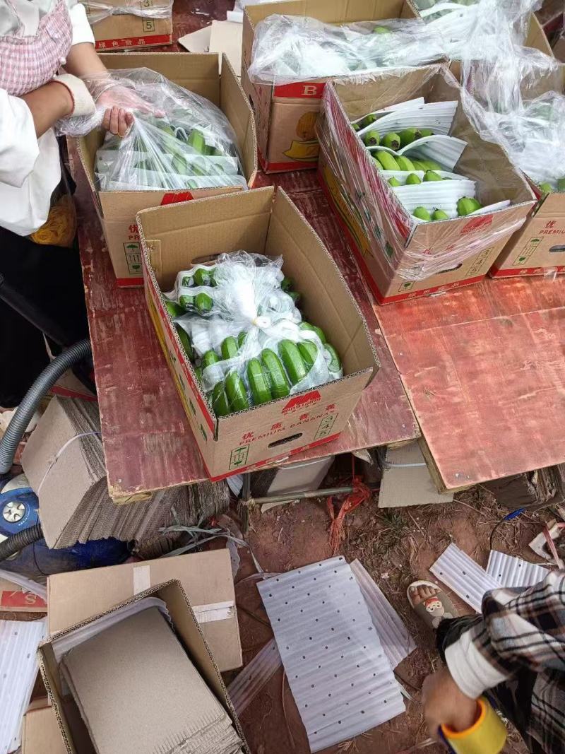 香蕉，口感软糯香甜，规格齐全，全年供应，价格便宜