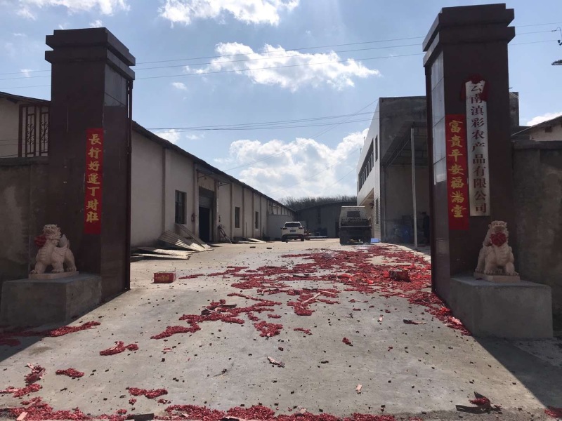 云南萝卜条干电商货大根条粗条萝卜干货麻辣萝卜丁下饭酱腌菜