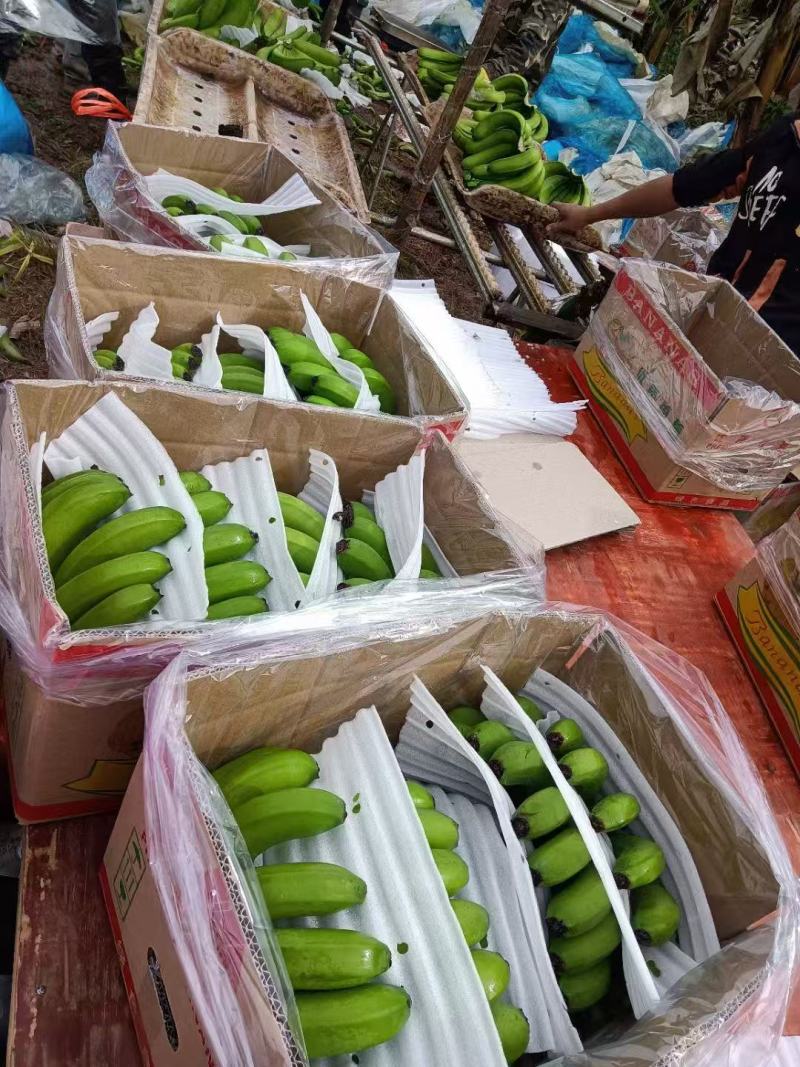 香蕉，口感软糯香甜，规格齐全，全年供应，价格便宜