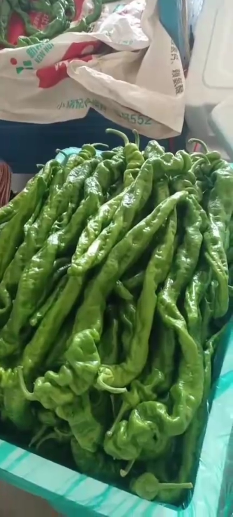 辣椒山东临沂线椒，螺丝椒，薄皮椒，口感辛辣，产地批发