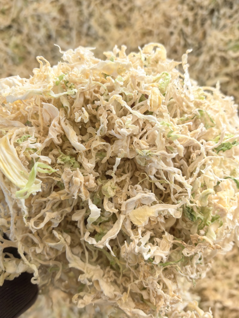 26年云南包菜丝梅干菜脱水蔬菜雪里红去芯包菜丝盐菜