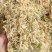 26年云南包菜丝梅干菜脱水蔬菜雪里红去芯包菜丝盐菜