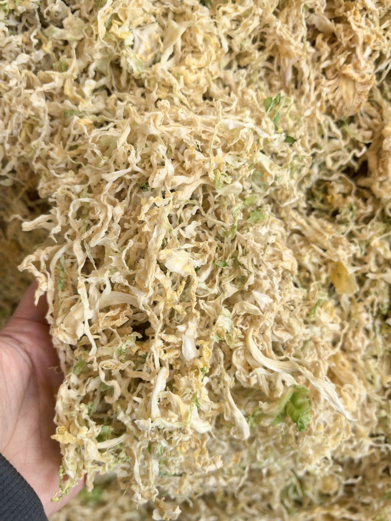 26年云南包菜丝梅干菜脱水蔬菜雪里红去芯包菜丝盐菜