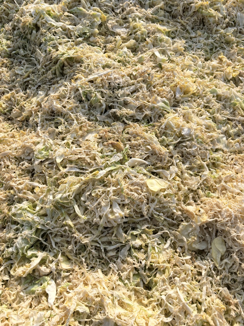 26年云南包菜丝梅干菜脱水蔬菜雪里红去芯包菜丝盐菜