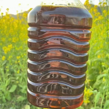 菜籽油，山茶油