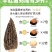 恩施富硒干羊肚菌