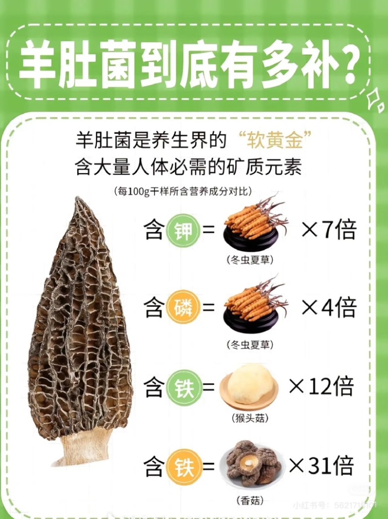 恩施富硒干羊肚菌