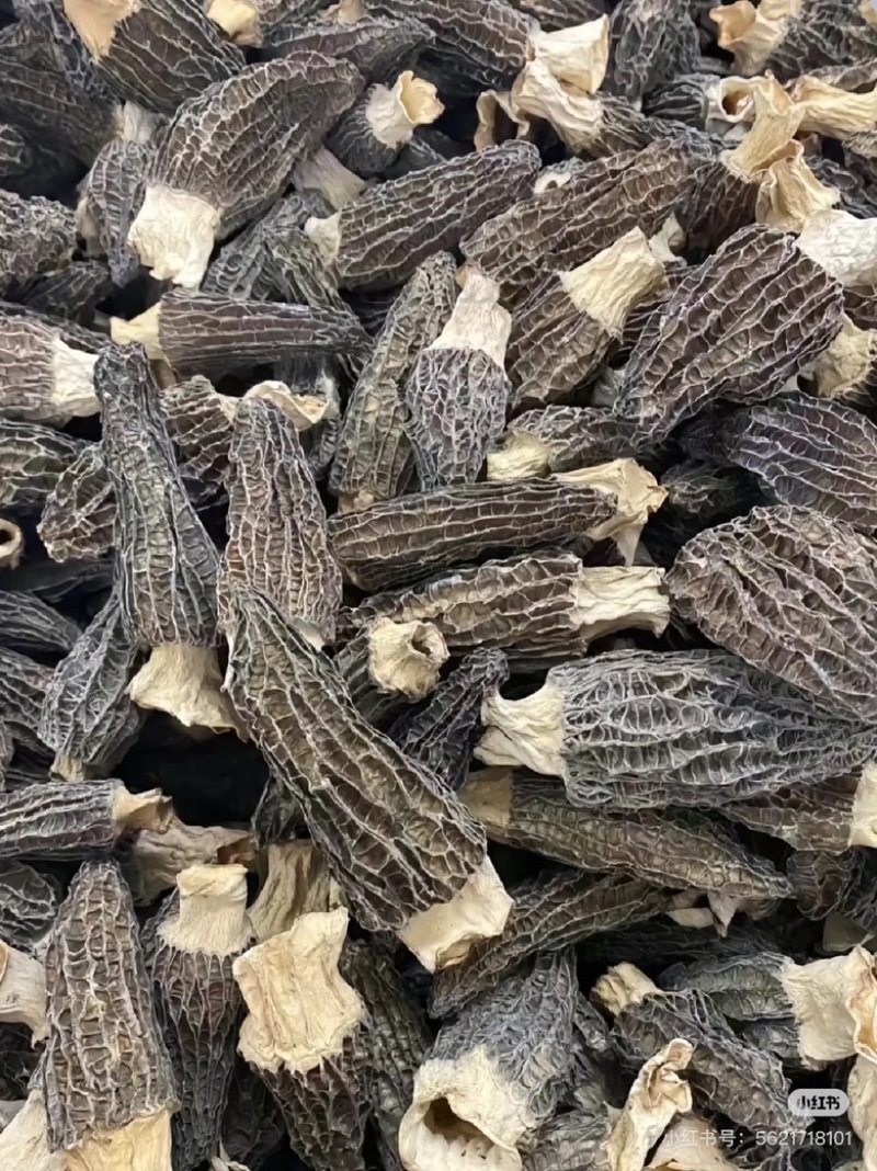 恩施富硒干羊肚菌