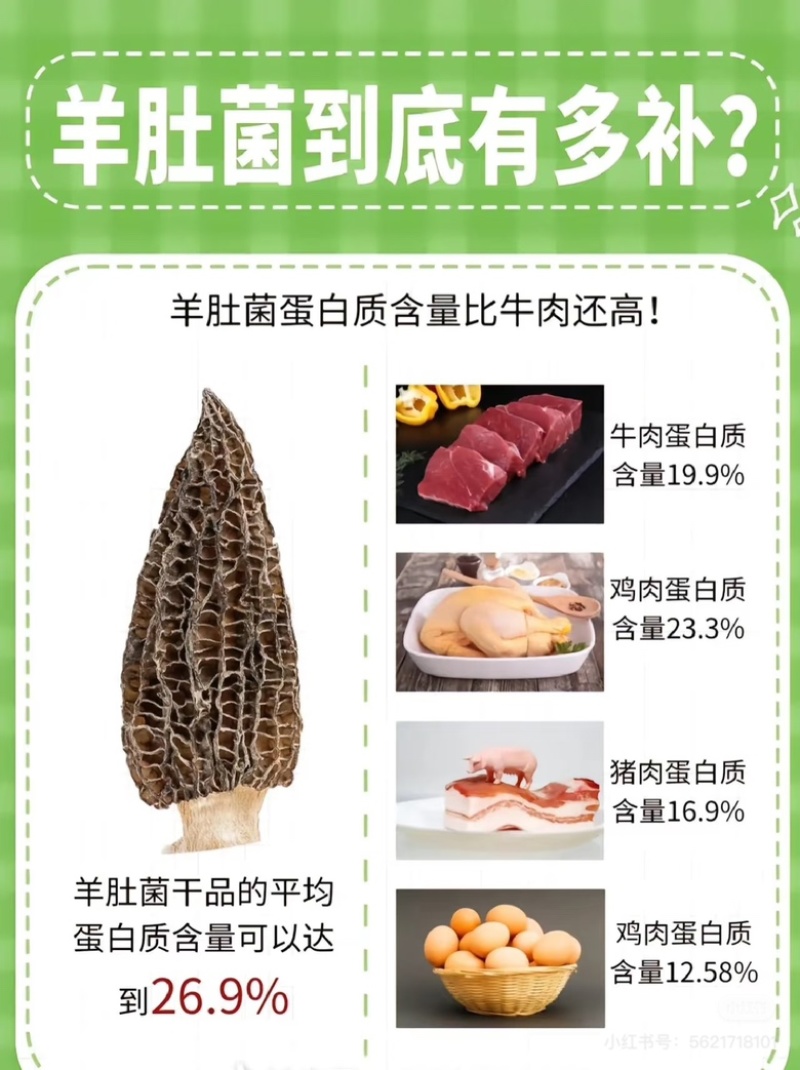 恩施富硒干羊肚菌