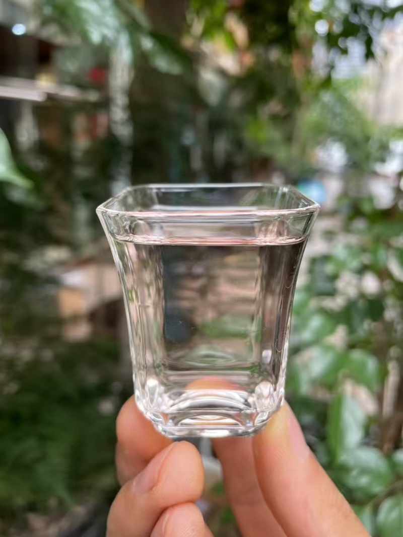 墨红玫瑰现货2025年的新花颜色好，花朵大，