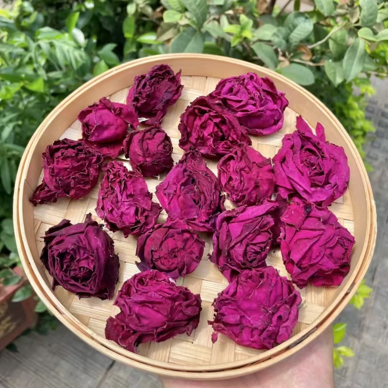 墨红玫瑰现货2025年的新花颜色好，花朵大，