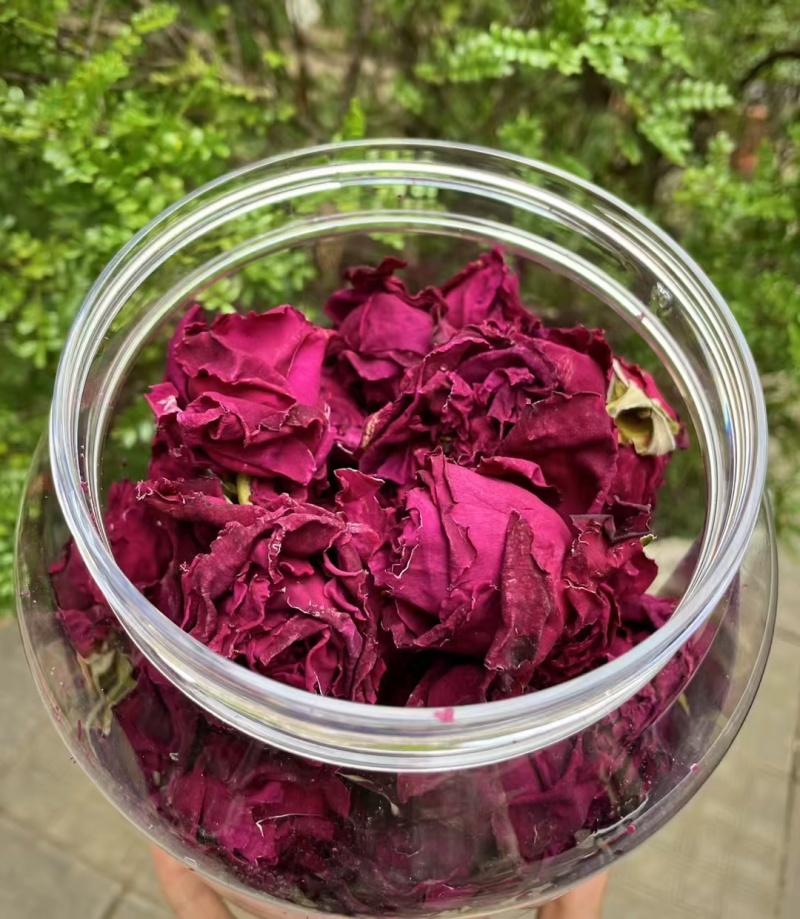 墨红玫瑰现货2025年的新花颜色好，花朵大，