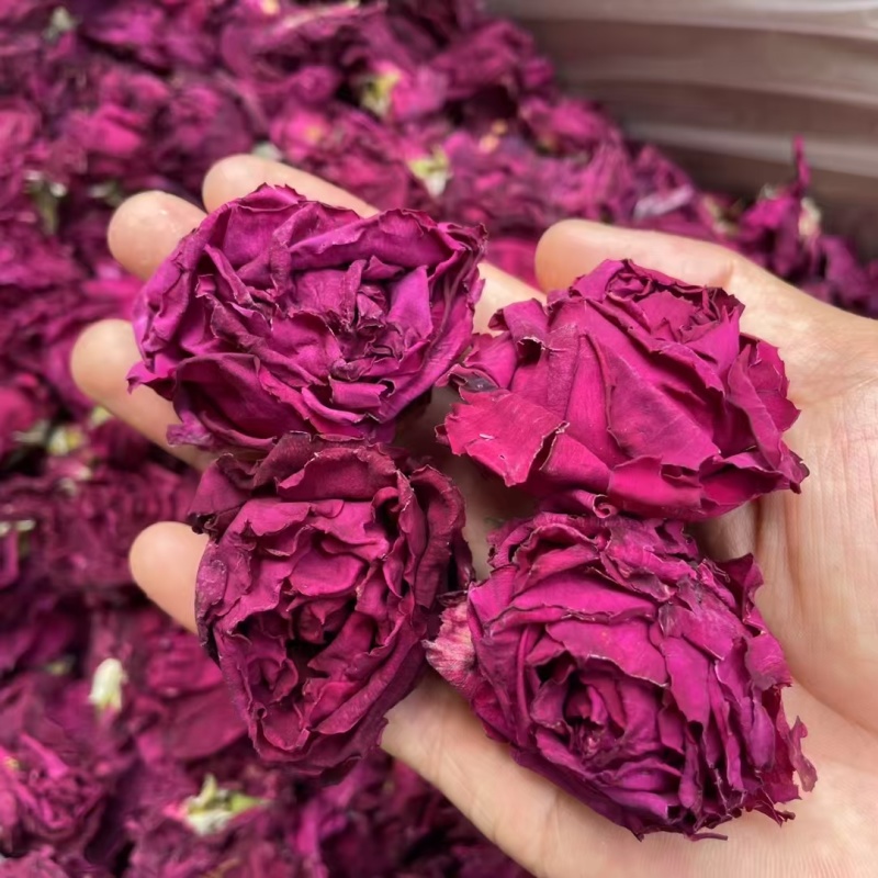 墨红玫瑰现货2025年的新花颜色好，花朵大，
