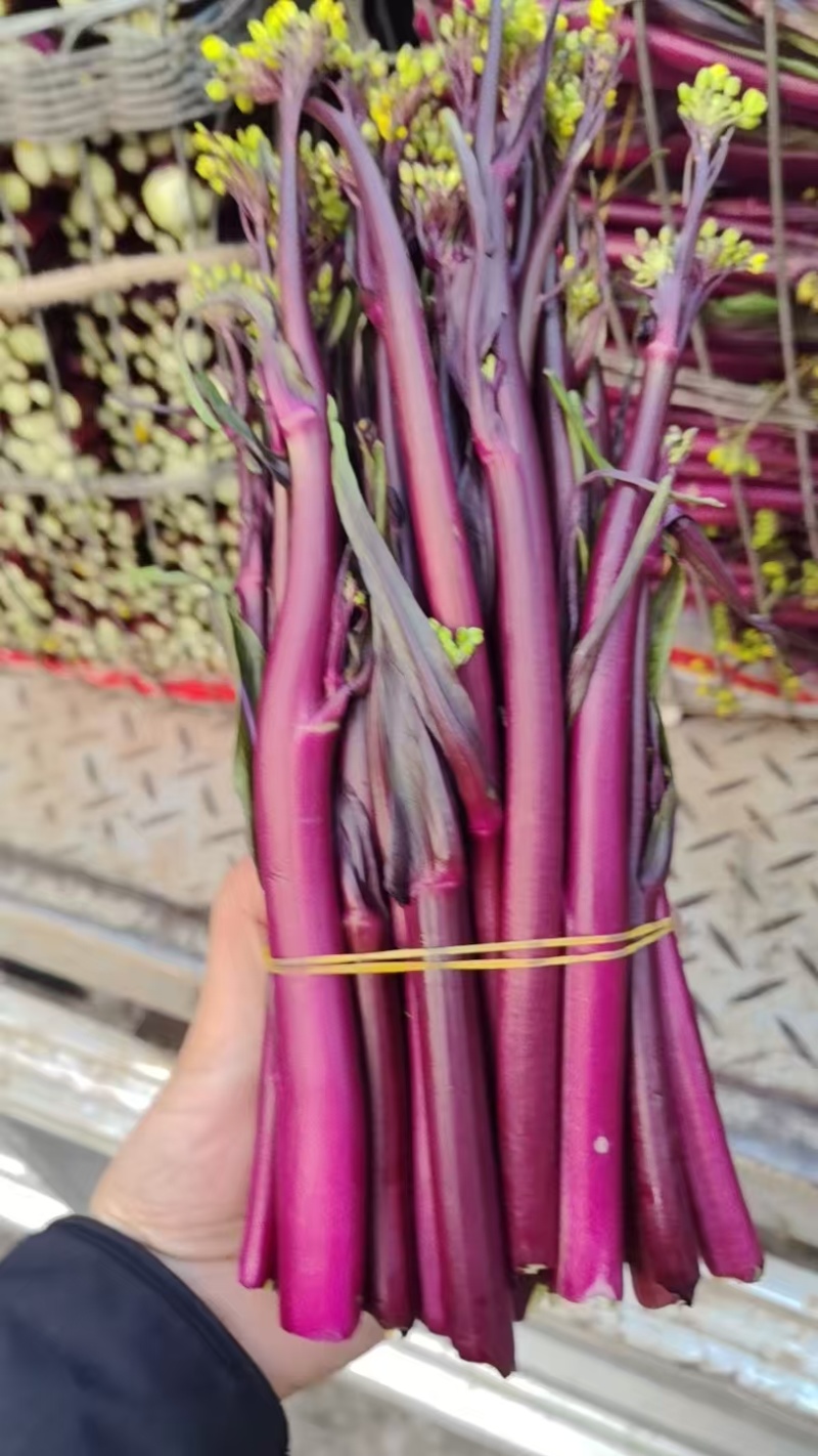 散花，红油菜苔