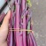 散花，红油菜苔