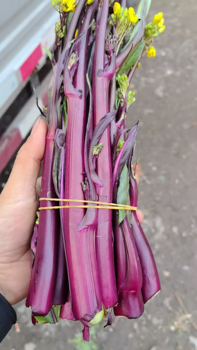 散花，红油菜苔