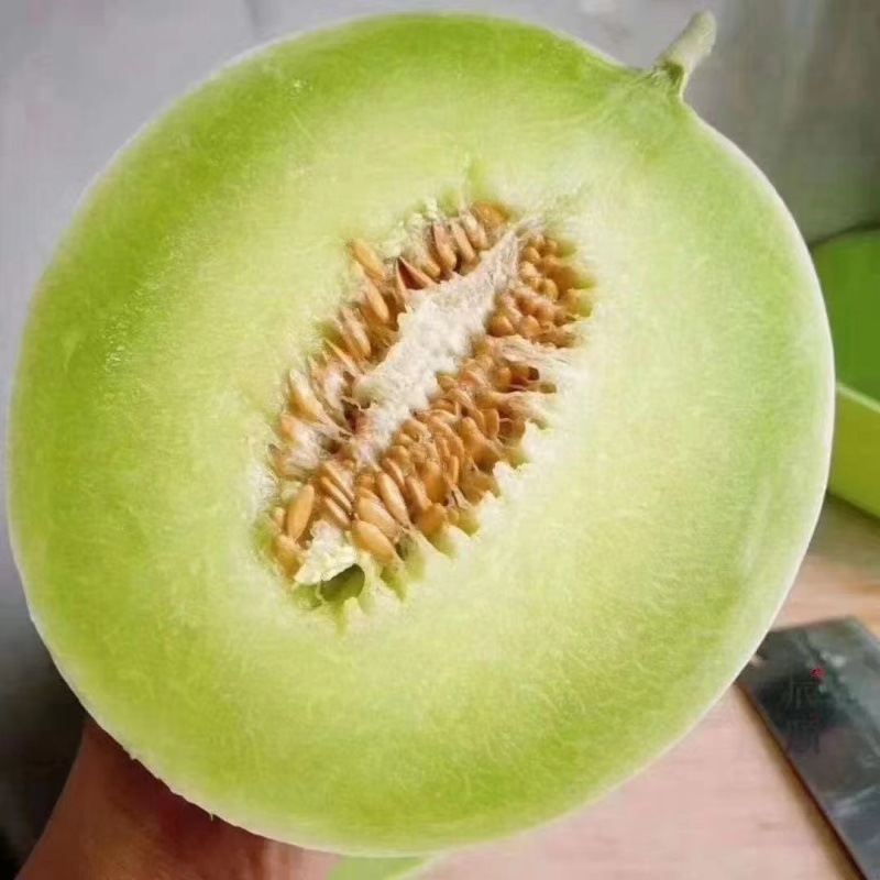 各种甜瓜