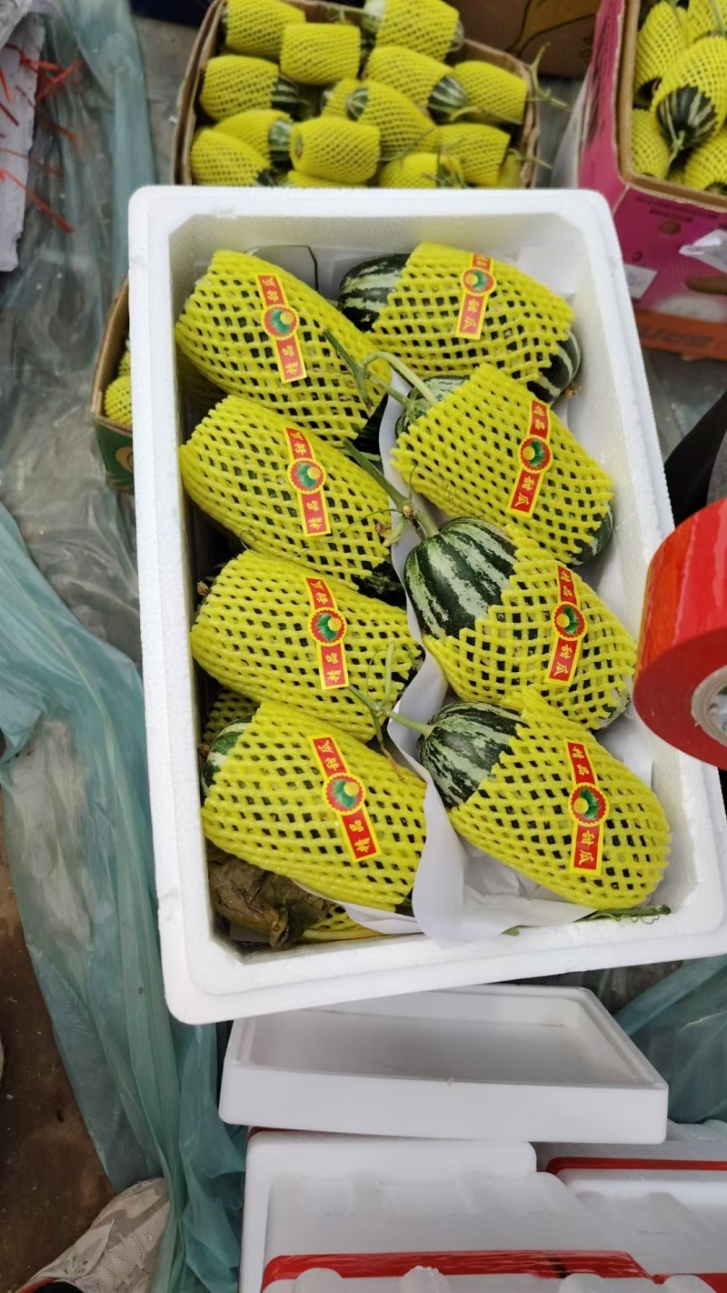 各种甜瓜