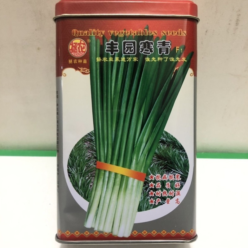 丰园寒青韭菜种子250克罐装不休眠品种耐热耐寒