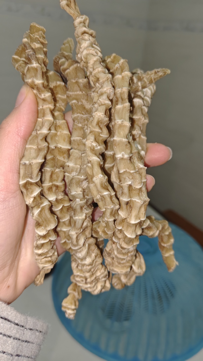 云南地参