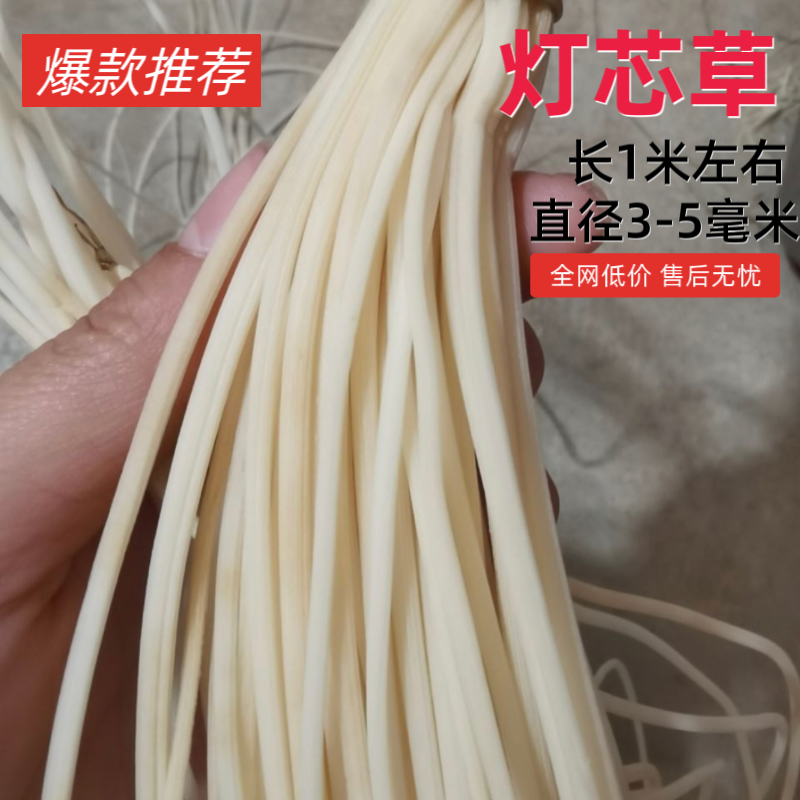 灯芯草长灯草新鲜无硫无杂烘干发货江西灯心草