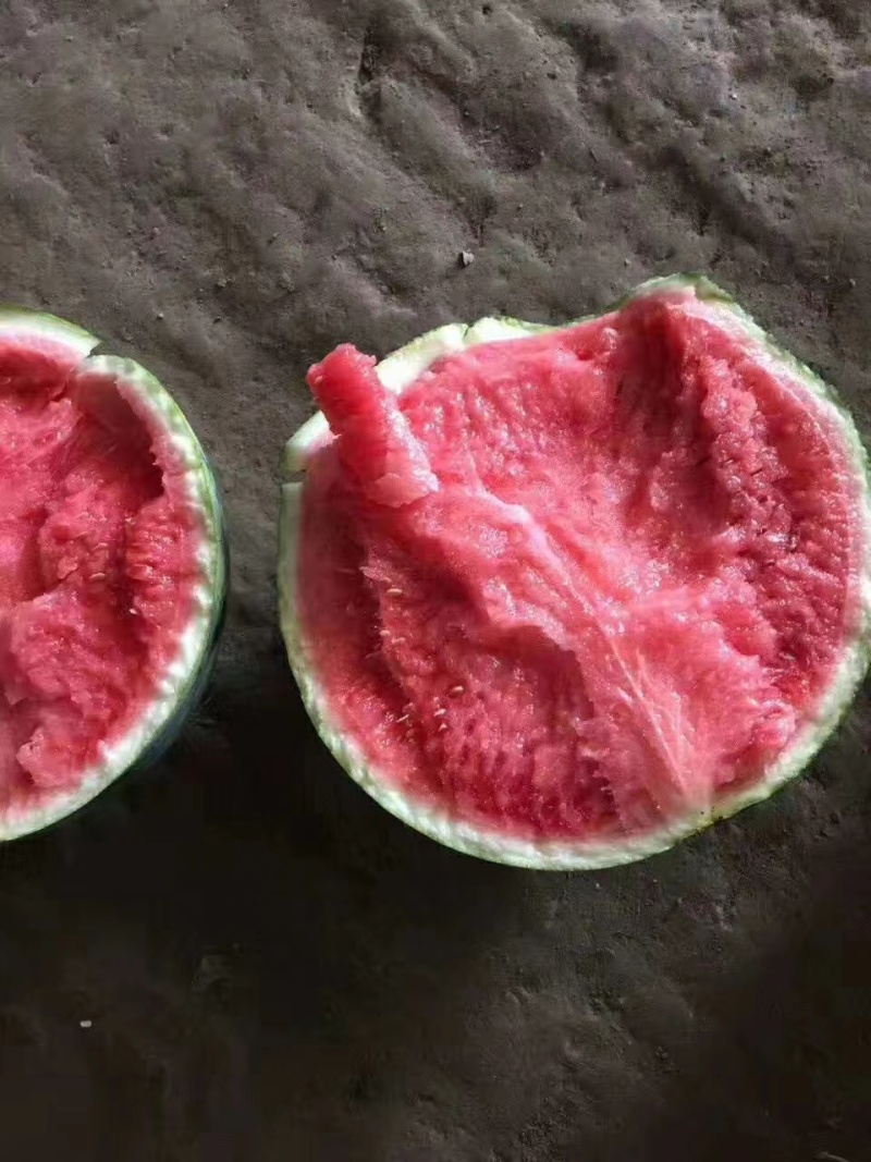 山东临沂美都西瓜，8424西瓜产地批发，薄皮肉甜果型标准