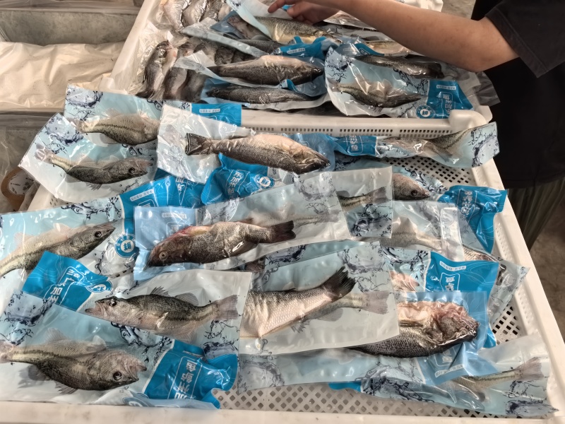 鲈鱼三去真空鲜鲈鱼