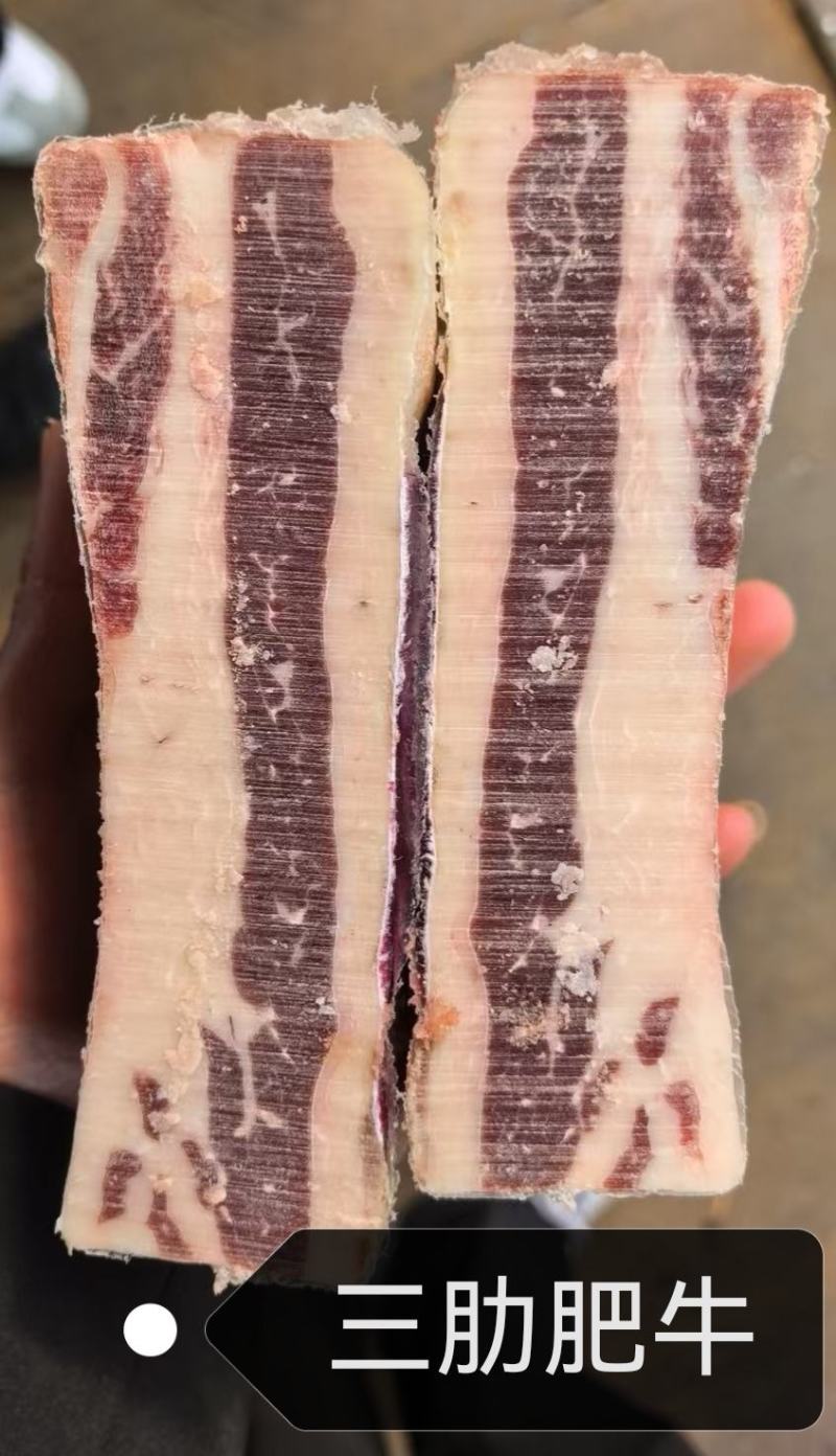 原切安格斯谷饲肥牛价格美丽，工厂直销