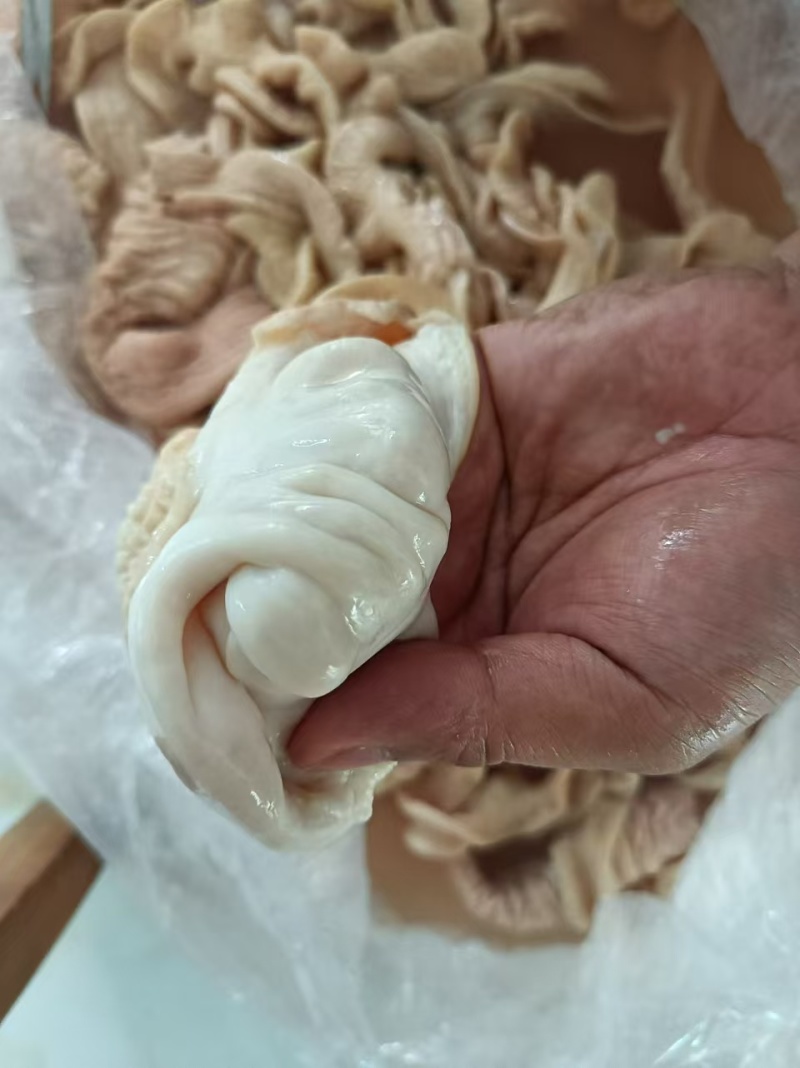 猪大肠肥肠精品大肠本色无油纯干新鲜免洗屠场直供