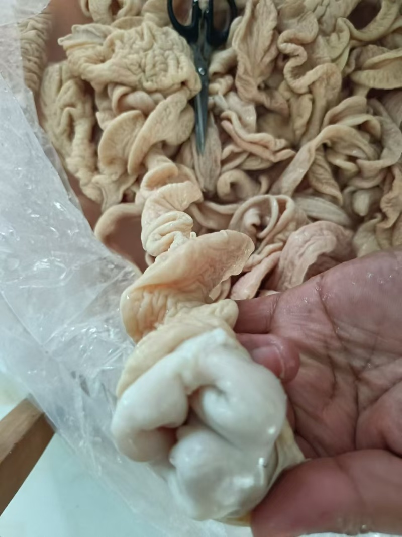 猪大肠肥肠精品大肠本色无油纯干新鲜免洗屠场直供