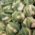 襄城县崔结实代收各种疏菜瓜果欢迎您？精品花菜正在上市中