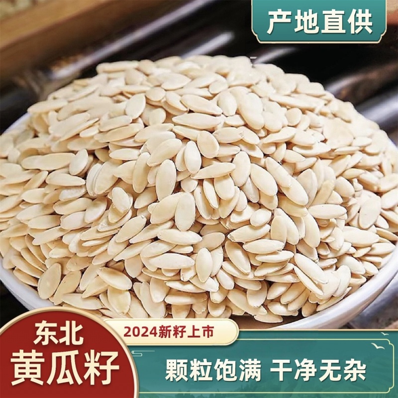 中药材黄瓜籽东北老旱黄瓜籽新货无硫颗粒饱满无杂质实物拍