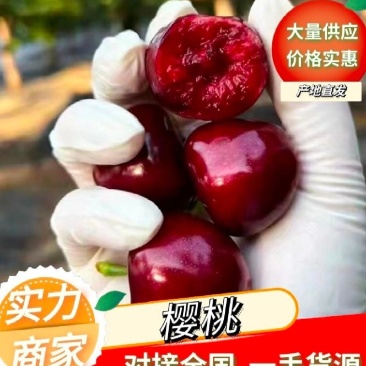 先锋大樱桃产地批发大量供应全国发货