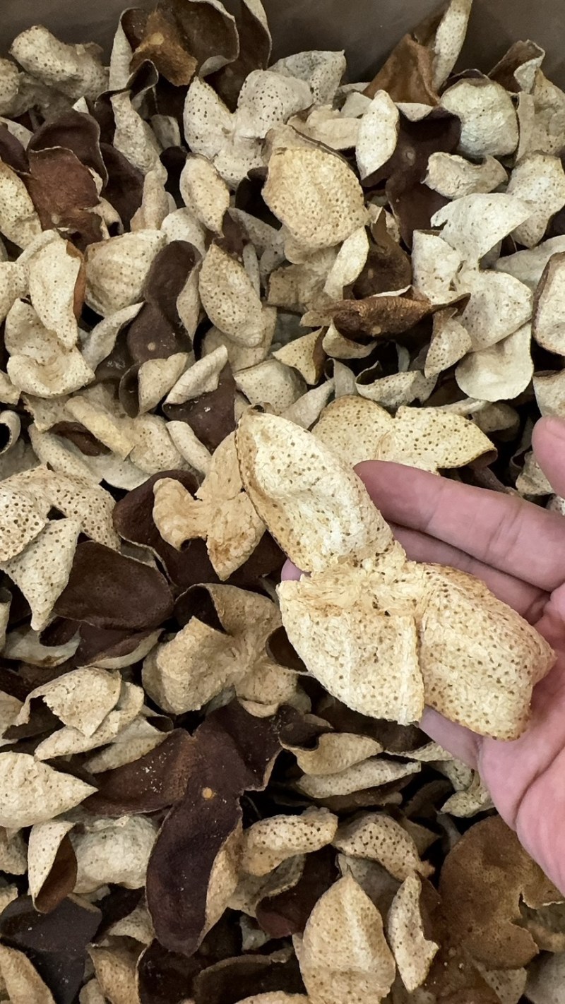 新会陈皮老陈皮茶枝柑