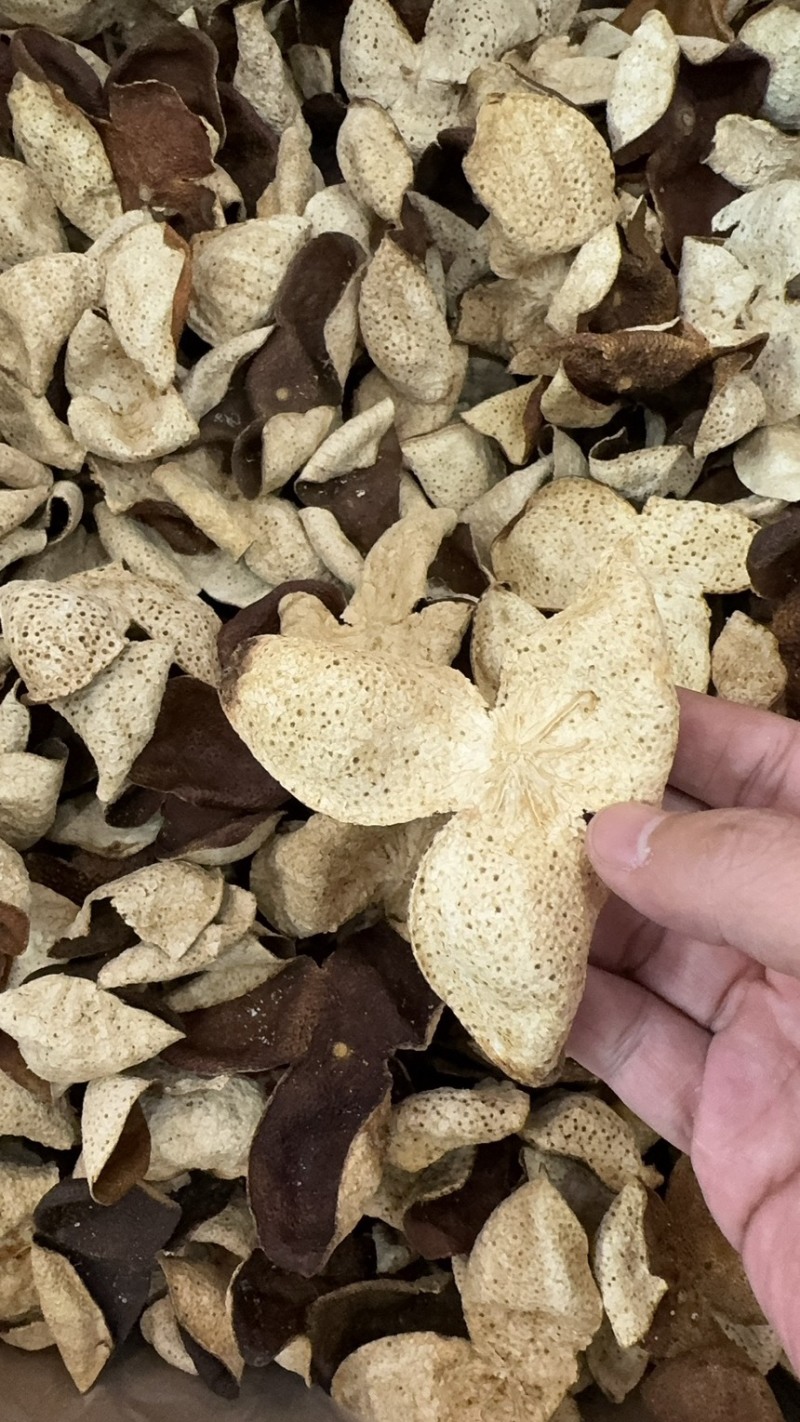 新会陈皮老陈皮茶枝柑