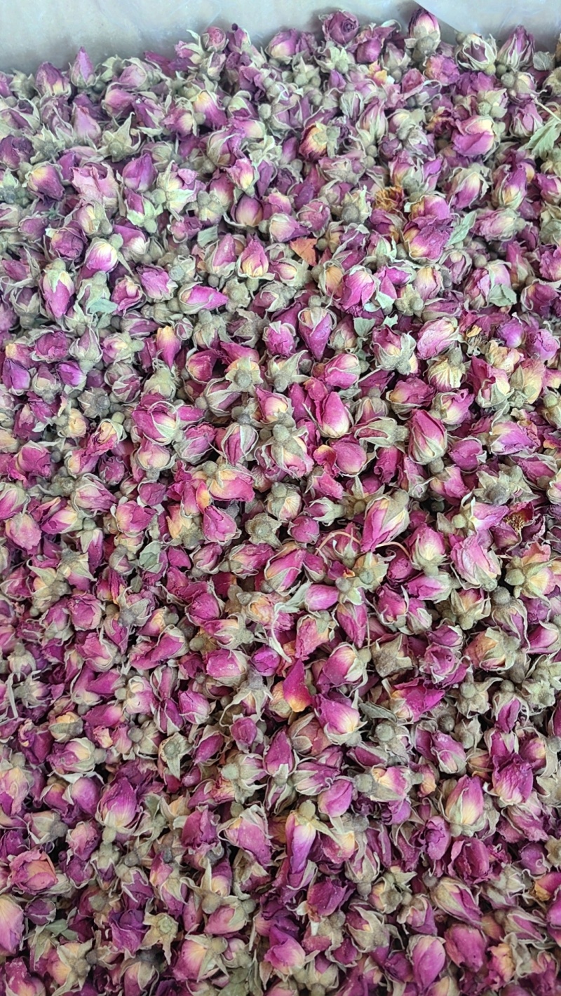 玫瑰苦水玫瑰甘肃玫瑰药食同源各种规格