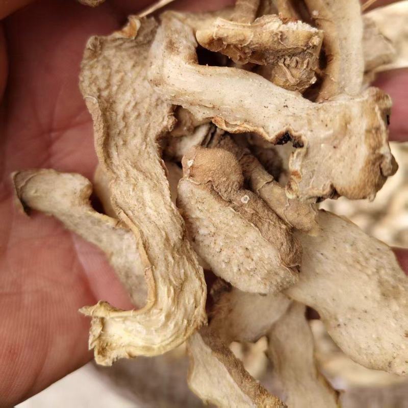 精品黄精，产地货源，品质保证，欢迎各地老板来电洽谈